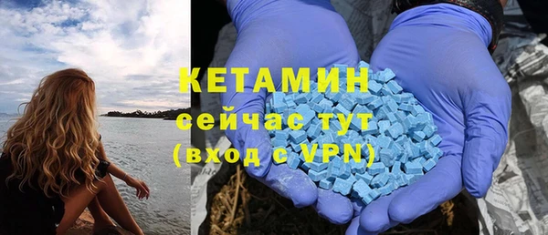 прущие грибы Липки